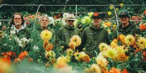 Super Furry Animals