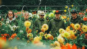 Super Furry Animals