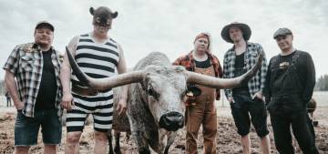 Steve N Seagulls  