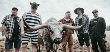 Steve N Seagulls